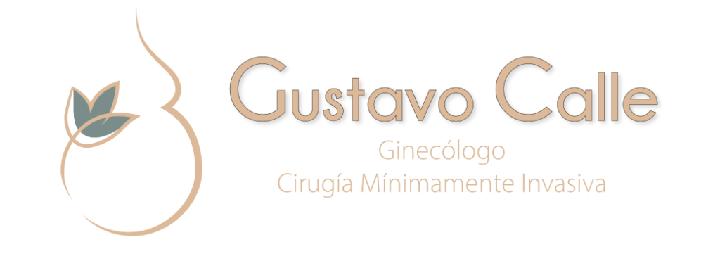 Dr.-Gustavo-Calle-Papeleria-05-1024x361